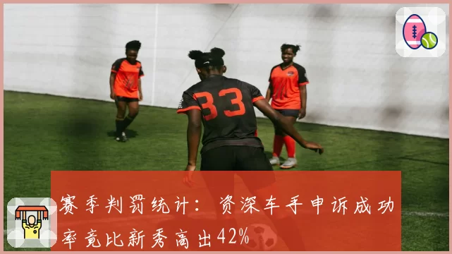赛季判罚统计:资深车手申诉成功率竟比新秀高出42%
