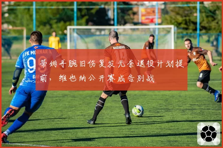 蒂姆手腕旧伤复发无奈退役计划提前,维也纳公开赛成告别战