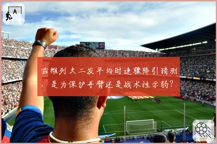 兹维列夫二发平均时速骤降引猜测，是为保护手臂还是战术性示弱？